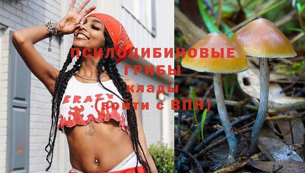 марки nbome Алзамай