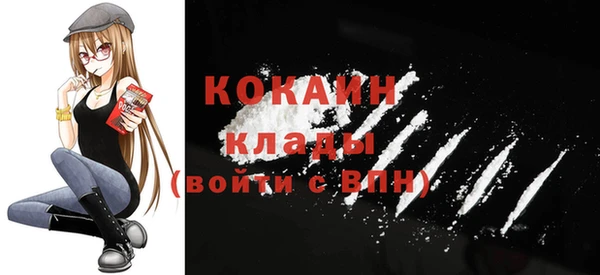 кокс Алексин