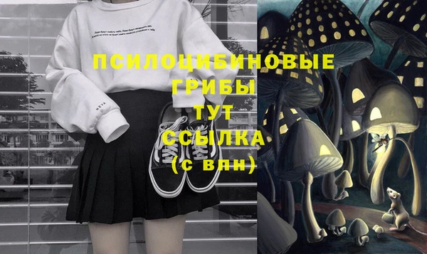кокс Алексин