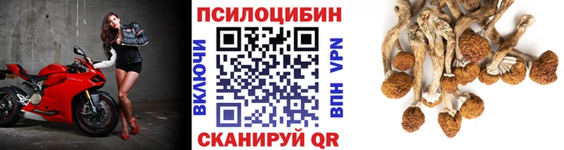 наркота  Боровичи  Псилоцибиновые грибы прущие грибы 