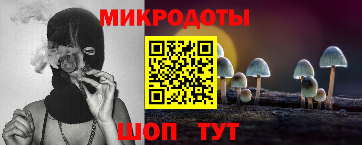 Боровичи  Галлюциногенные грибы ЛСД  Вход с VPN 