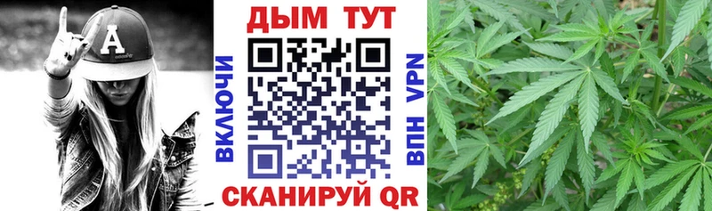 Шишки марихуана AK-47  как найти   ОМГ ОМГ зеркало  Боровичи 